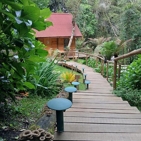 Chale Samambaia Villa Campos do Jordao Luaran gambar