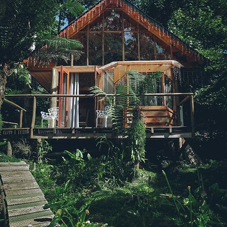 Chale Samambaia Villa Campos do Jordao Luaran gambar
