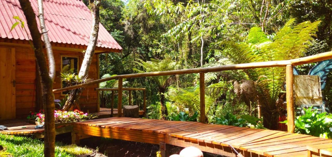Chale Samambaia Villa Campos do Jordao Luaran gambar