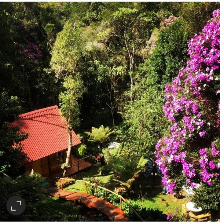 Chale Samambaia Villa Campos do Jordao Luaran gambar